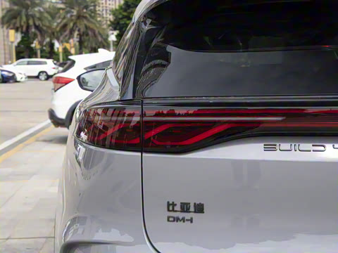 2025�� DM-i 115KM ������