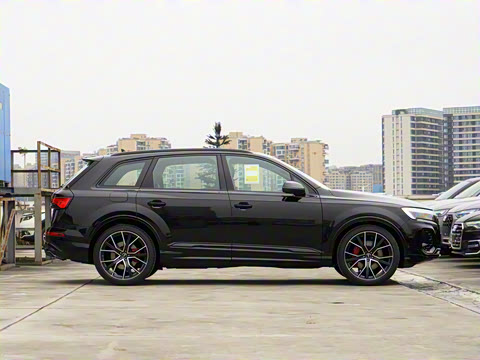 2025�� 55 TFSI quattro S line��ѩ�˶���