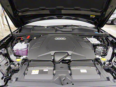 2025�� 55 TFSI quattro S line��ѩ�˶���