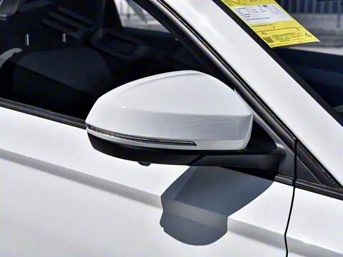 2025�� 280TSI �Զ�����Plus��