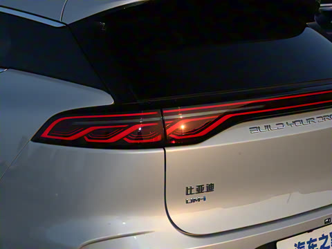 2025�� DM-i 115KM ������