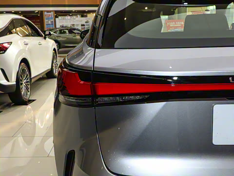 2025�� 300 ����������