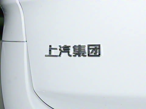 2025�� MAX 2.0T �Զ������� ���� 7��