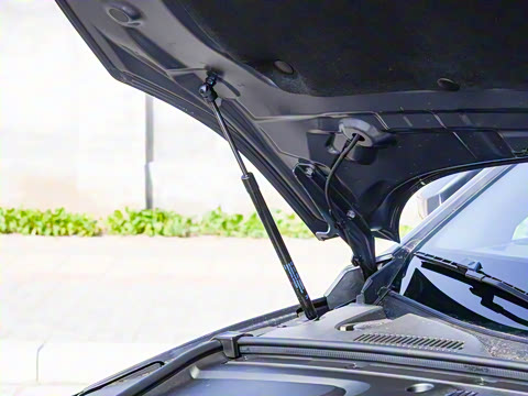 2025�� DM-i 115KM ������