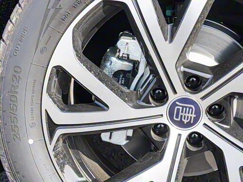 2025�� DM-i 115KM ������