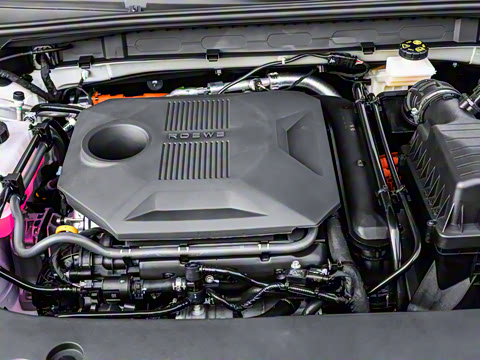 2024�� 135������