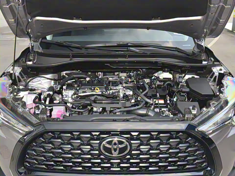 2024�� 2.0L ���ܵ��˫�� ��Ӣ��