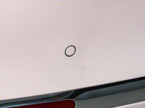 2024�� 333km ������