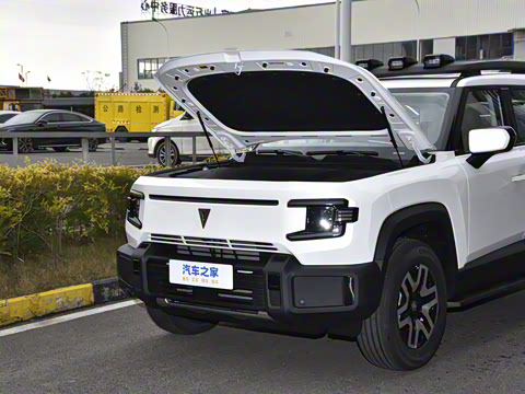 2024�� ����������