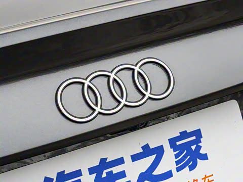 2025�� A3L Limousine 35TFSI �ɳ������� +������ѡ��