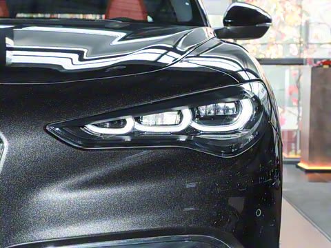 2024�� 2.0T 280HP Dragon Edition �����޶���