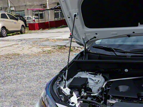 2024�� 2.0L CVT��������Plus��