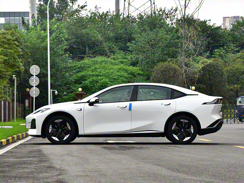 2025�� �����˶���