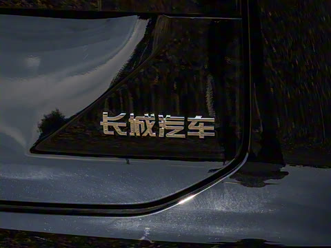 2024�� 1.5T ����Max