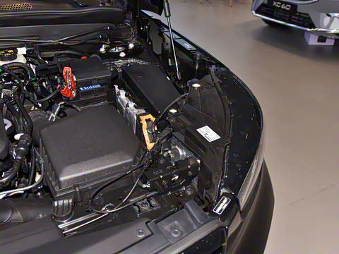 2025�� B4 ������Զ��ҹ�ڰ�