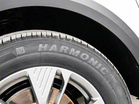 2025�� 445km ���ð�