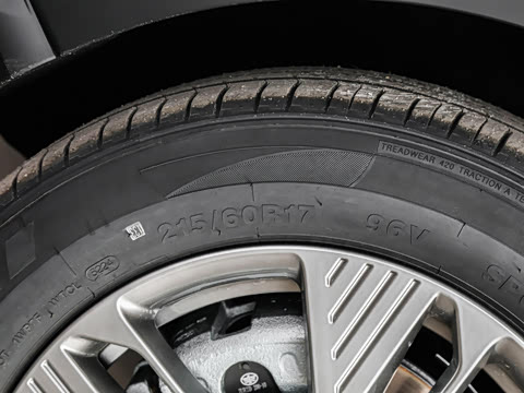 2025�� 445km ���ð�