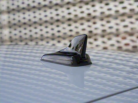 2024�� RS 5 2.9T Sportback ȼ���