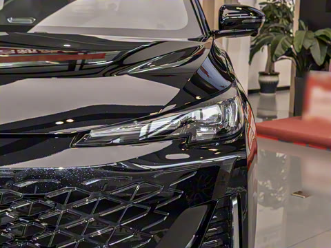 2024�� ������ 1.5T DCT׿Խ��