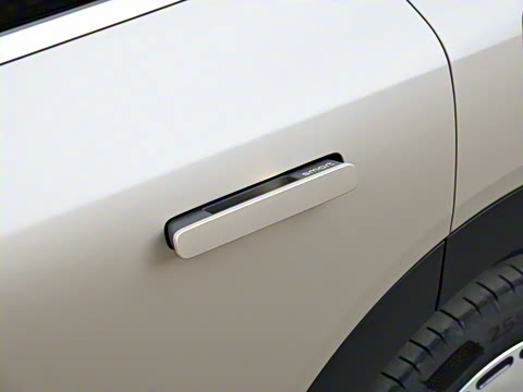 2024�� ������������ ������