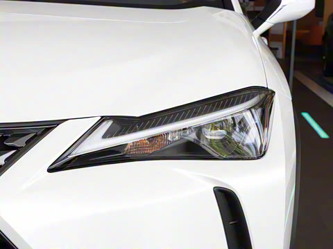 2024�� 300h ̽Ȥ��