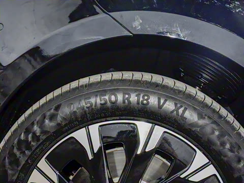 2025�� �������Ȱ�