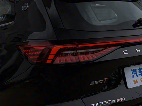 2025�� 390T ���������