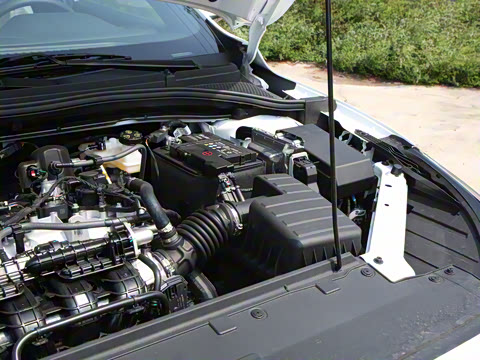 2025�� 180DVVT ȫ�����Ȱ�