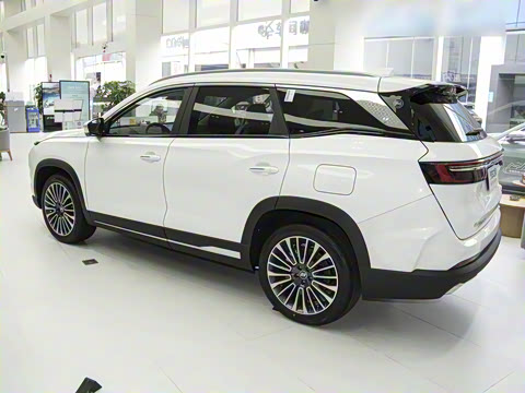 2024�� 1.5TD 2DHT Max 7��