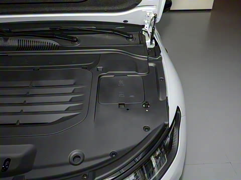 2024�� ���� 525������