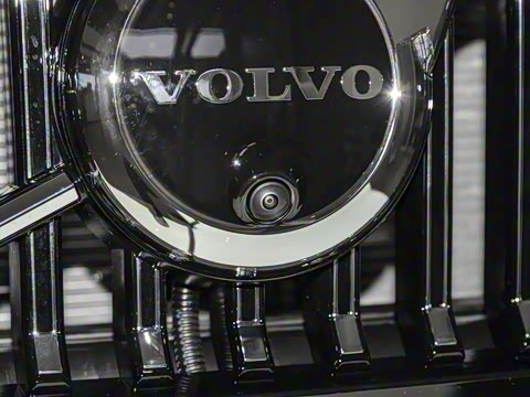 2025�� ���ʽ�춯 ������������Զ������