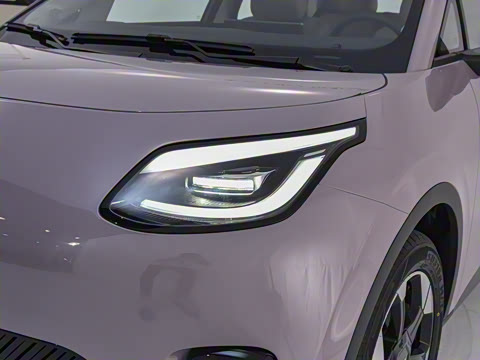 2025�� 420�����