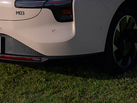 2025�� 600 �������� Max