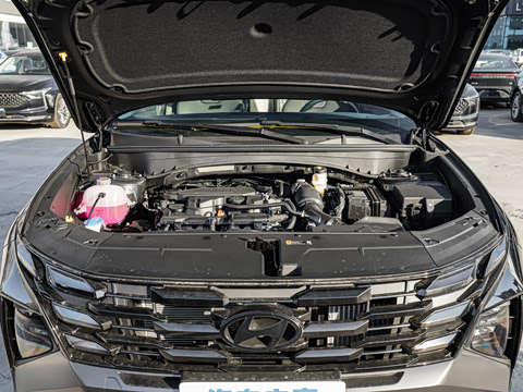 2025�� ;ʤL 1.5T ����