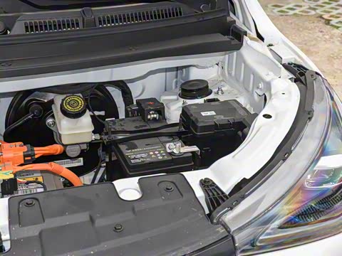 2026�� Mate 300km ����̤�˰�