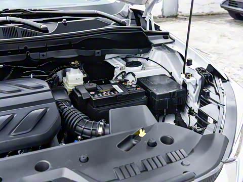 2025�� PRO 1.5T DCT ������ 5��