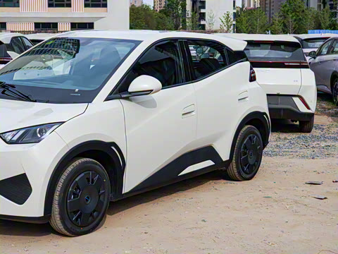 2025�� �Ǽݰ� 305km ������