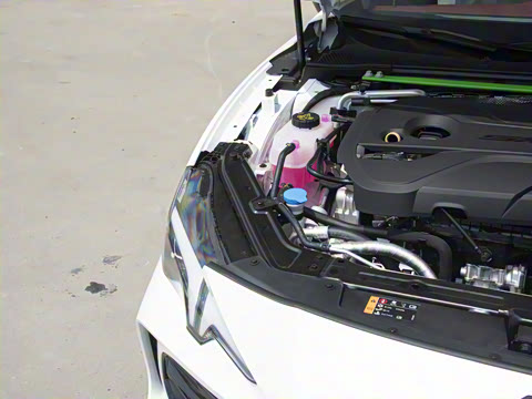 2025�� 2.0T Trophy+ �����Ǽݰ�