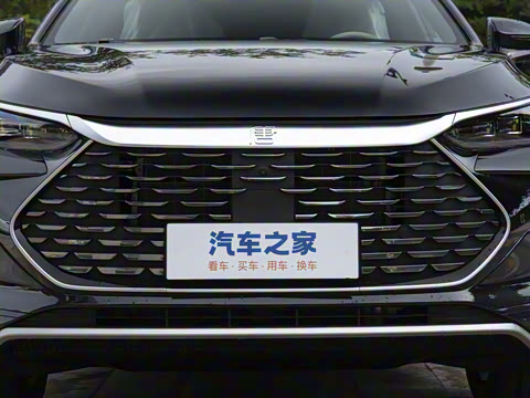 2025�� DM-i 115KM �콢��