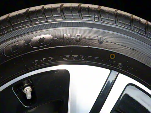 2025�� �����ű���