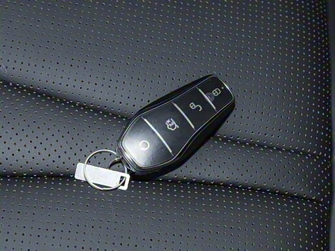 2025�� DM-i 170�캽Plus��