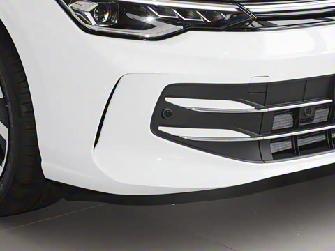 2025�� �Ŀ� 300TSI Pro