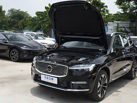 2026�� ���ʽ�춯 ������������Զ������