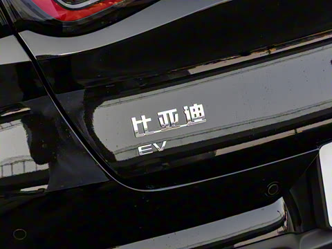 2025�� 505����Plus��