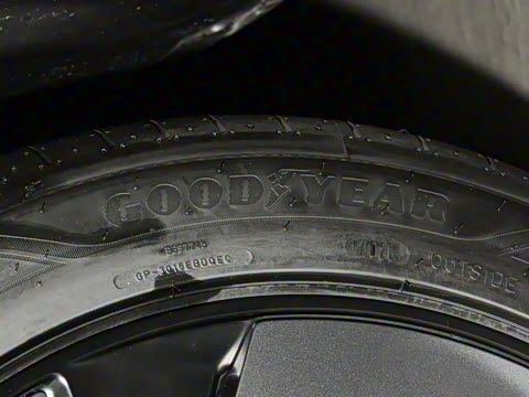 2025�� ����������