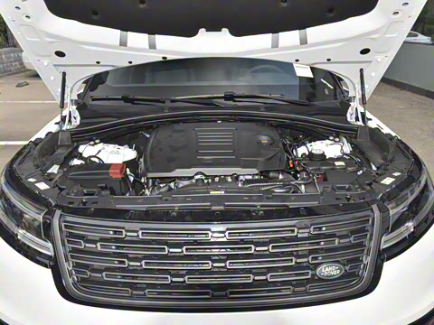 2025�� Dynamic SE