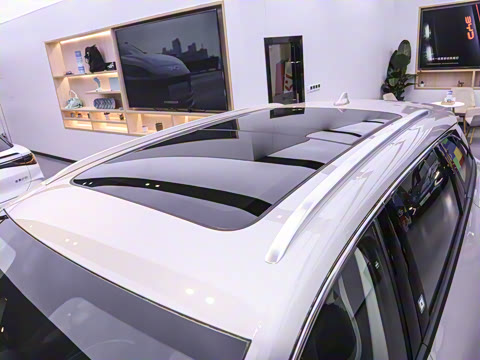 2025�� DM-i 115KM������