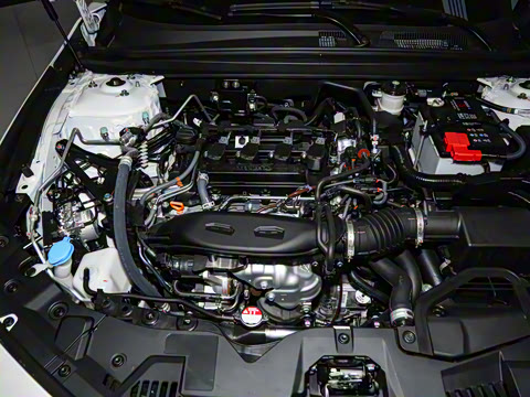 2023�� 260TURBO ���°�