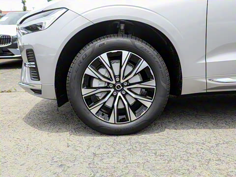 2025�� B5 �������ݺ�����