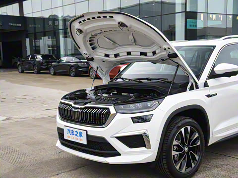 2025�� TSI380 7�������콢��